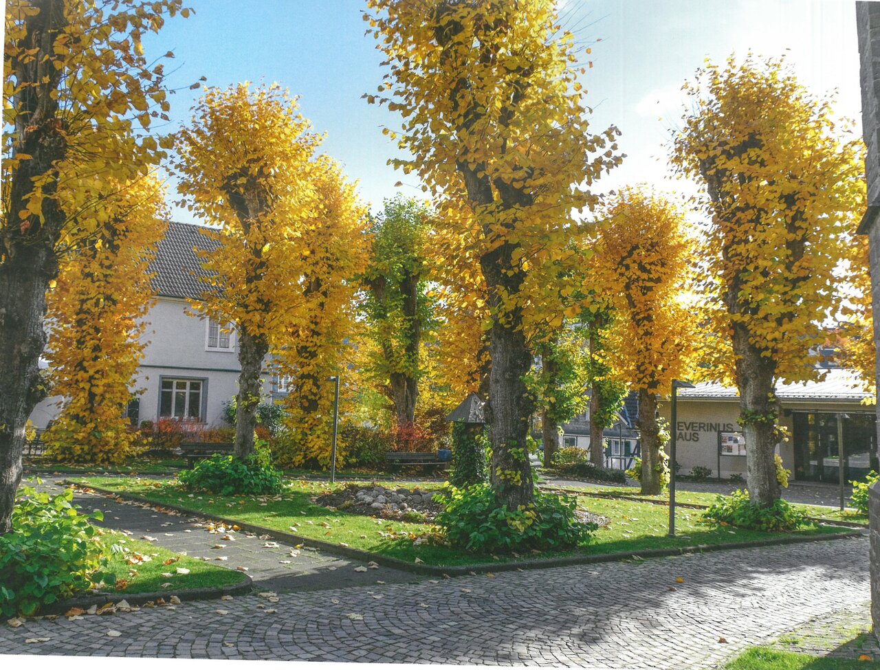 GAL Sammlung Kalender, unverzeichnet, Kalenderblatt November,  2020, Foto Ernst Nolden