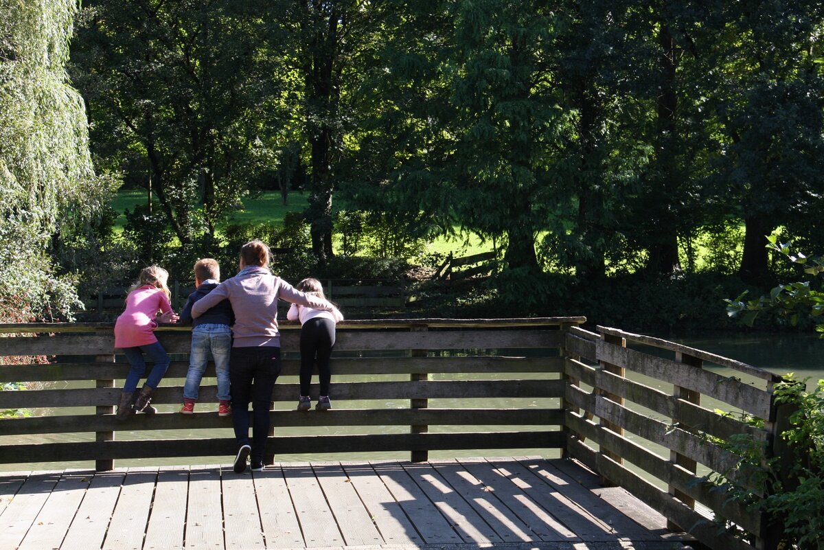 Ententeich im Freizeitpark Ententeich im Freizeitpark