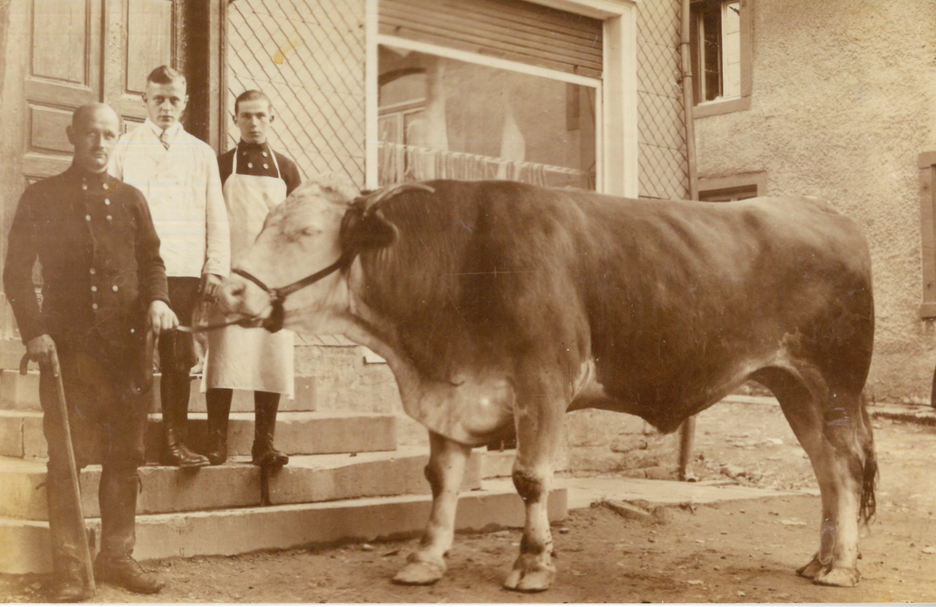 018 Metzgerei August Arnold, Kamper Straße 4