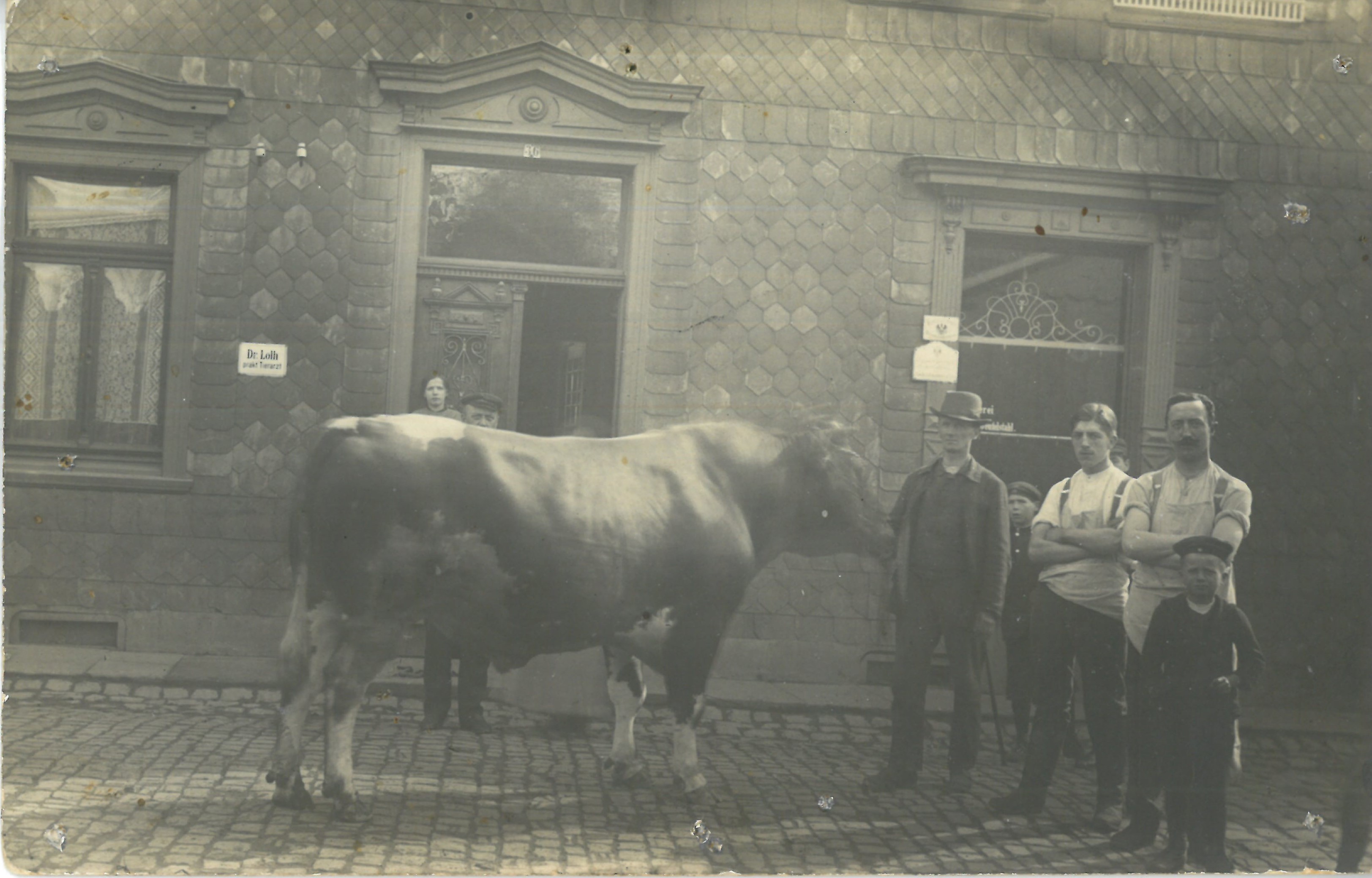 101 Metzgerei Beutelstahl